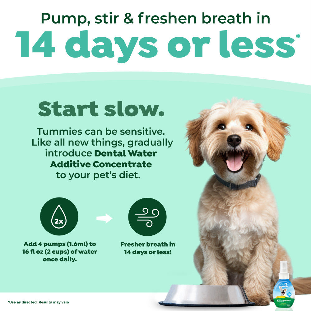 Dog with a bowl and dental water additive concentrate bottle on a green background
