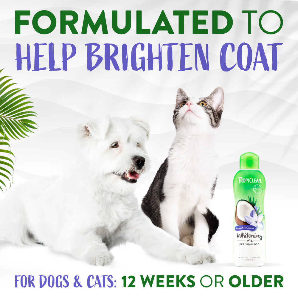 Dog and cat with a bottle of TropiClean Awapuhi & Coconut Whitening Shampoo for Pets, promoting coat brightening.