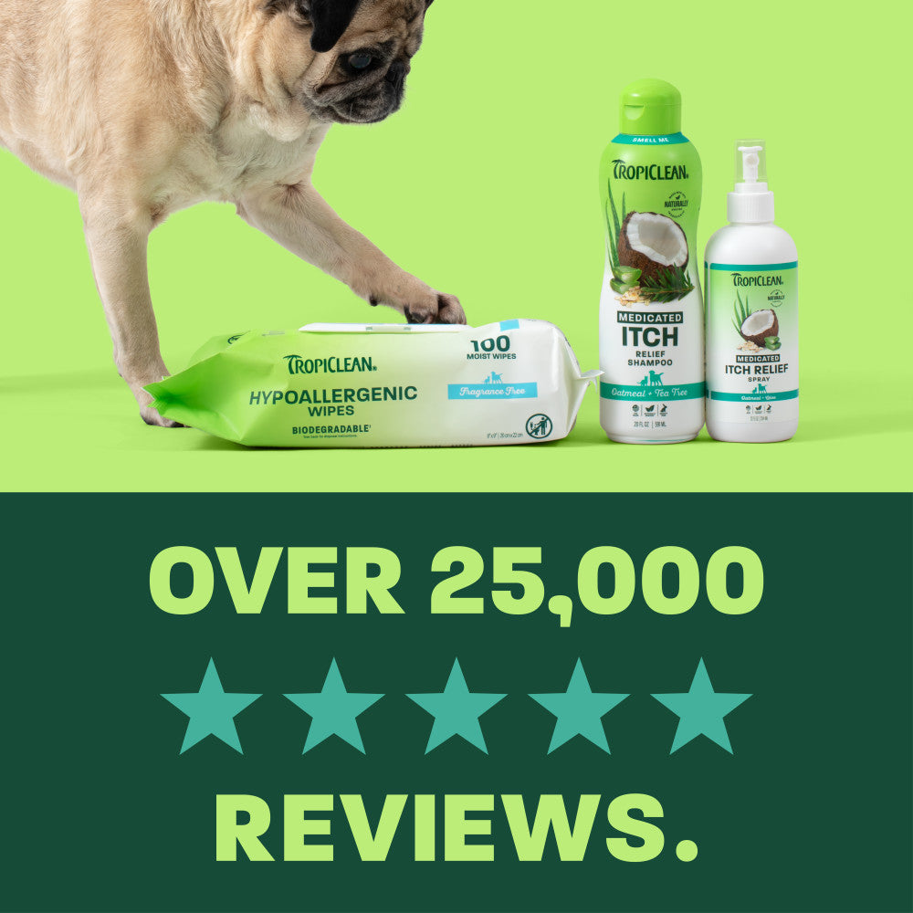 light green and green background, "Loved by millions" 5 star reviews.
