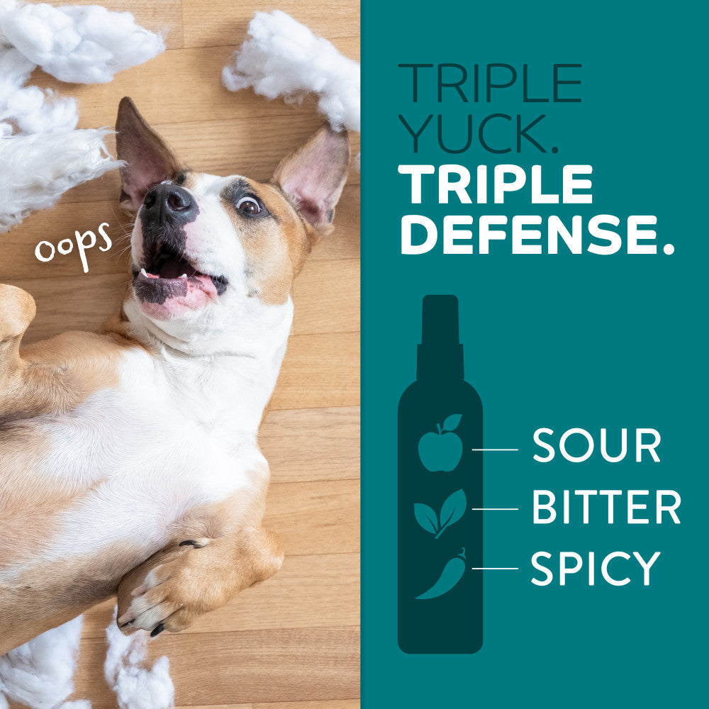 TropiClean Chew Stop Behavior Aid Dog & Home Spray. Dog with a spray bottle labeled 'Triple Yuck. Triple Defense.' on a wooden floor.