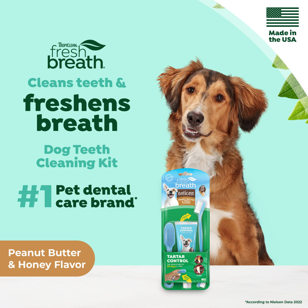 Fresh Breath Enticers Peanut Butter & Honey Tartar Control Dog Dental Kit with a dog and promotional text on a light green background