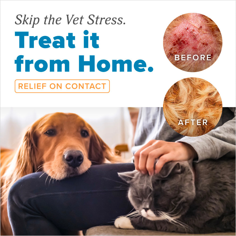 Advertisement for TropiClean HomeVet Medicated Itch & Allergy Pet Spray product showing a dog with before and after effects on skin.