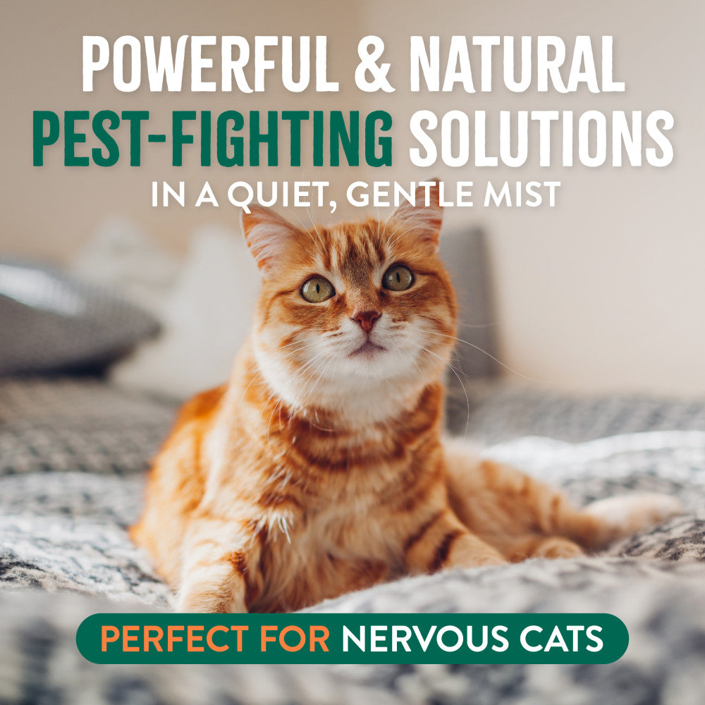 Cat lying on a blanket with text about pest-fighting solutions for nervous cats.