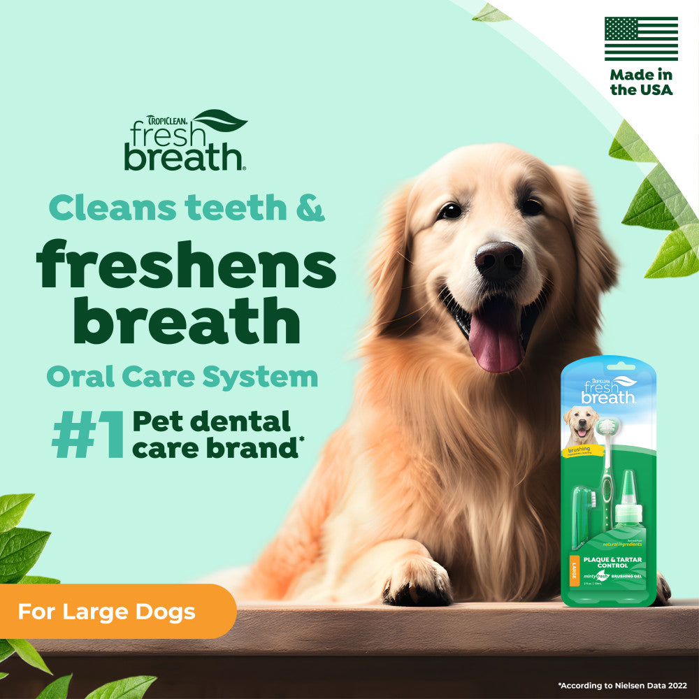 Dog with dental care product and text about TropiClean fresh breath and oral care system for large dogs.
