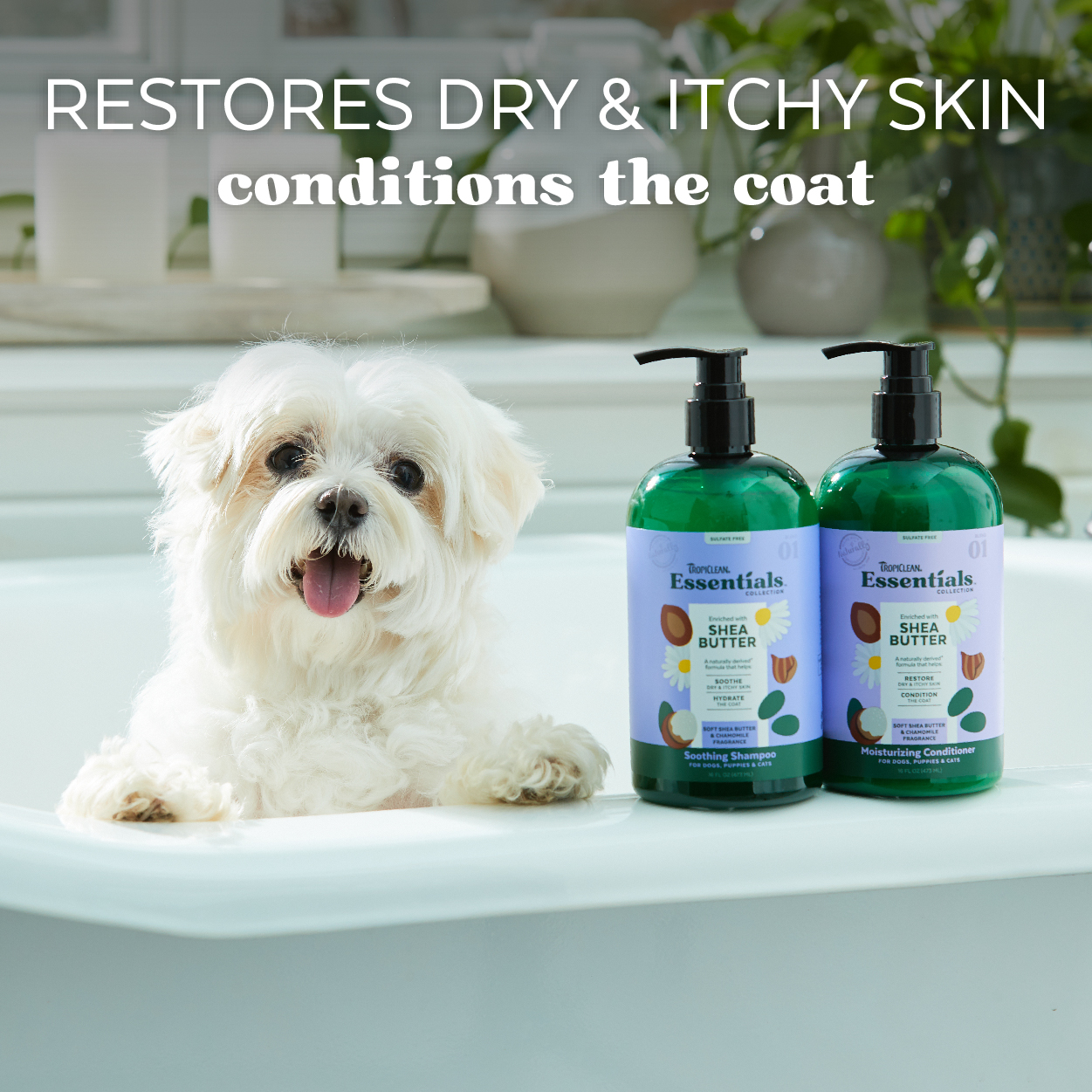 Shea Butter Moisturizing Conditioner for Dogs, Puppies & Cats - Tropiclean