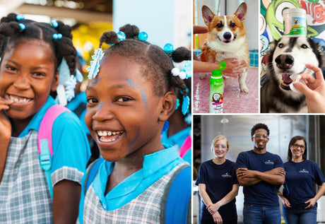 Blog:More Than Grooming: Our Mission, Our Products, Your Peace of Mind, image of TropiClean's Global Impact 