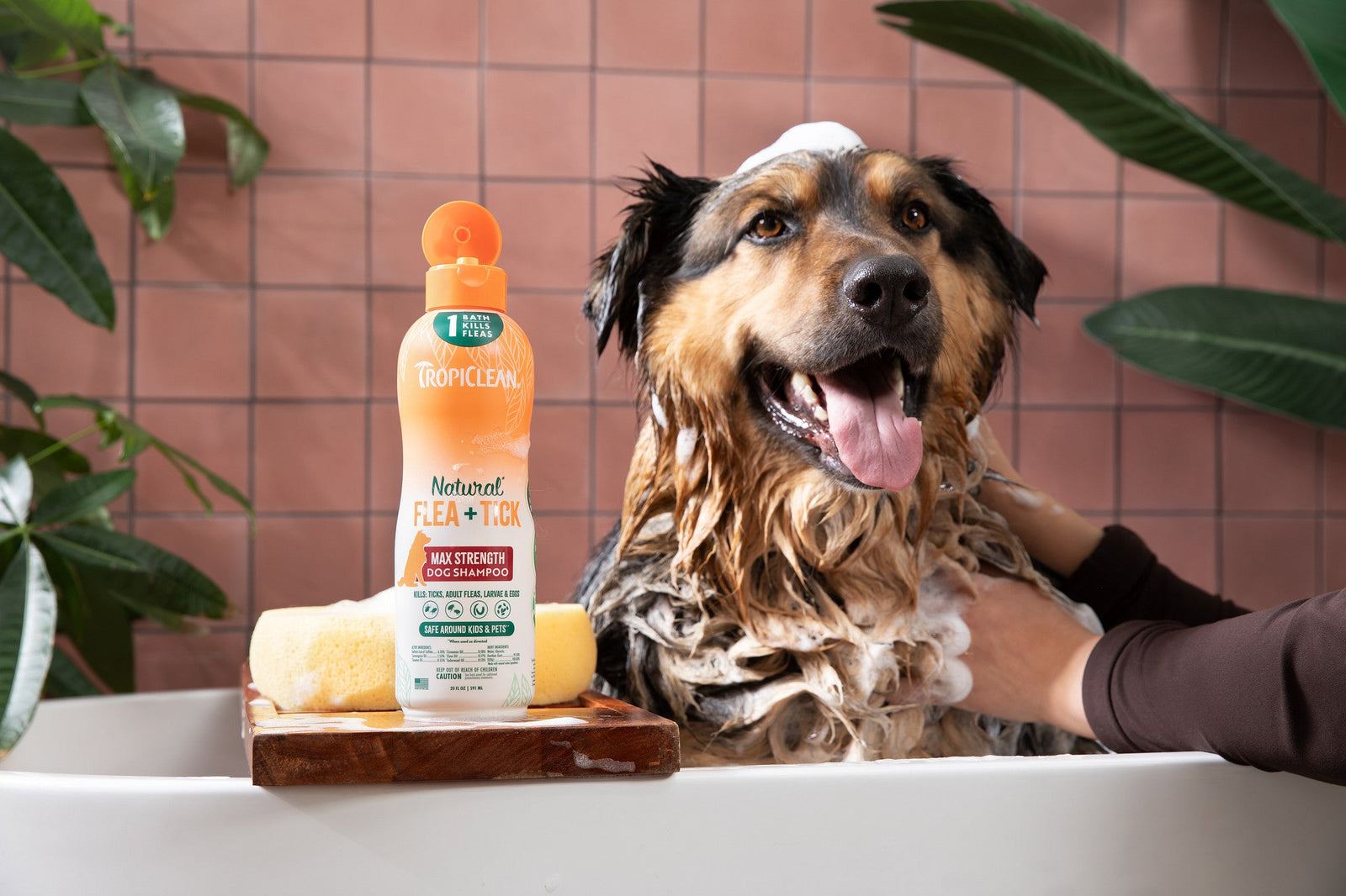 Why TropiClean Natural Flea + Tick Maximum Strength Shampoo Is the Best Choice for Your Dog
