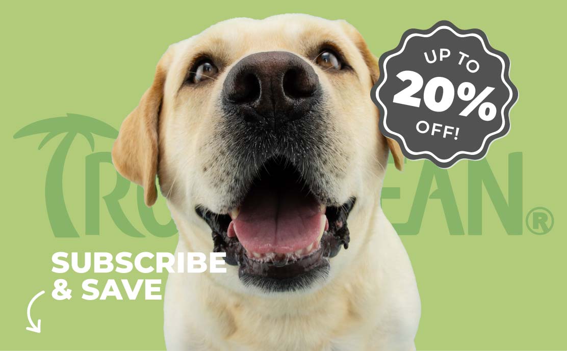 Top Pet Grooming Subscription Deals to Try in 2026