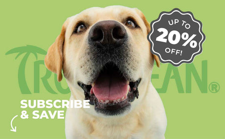 Top Pet Grooming Subscription Deals to Try in 2026
