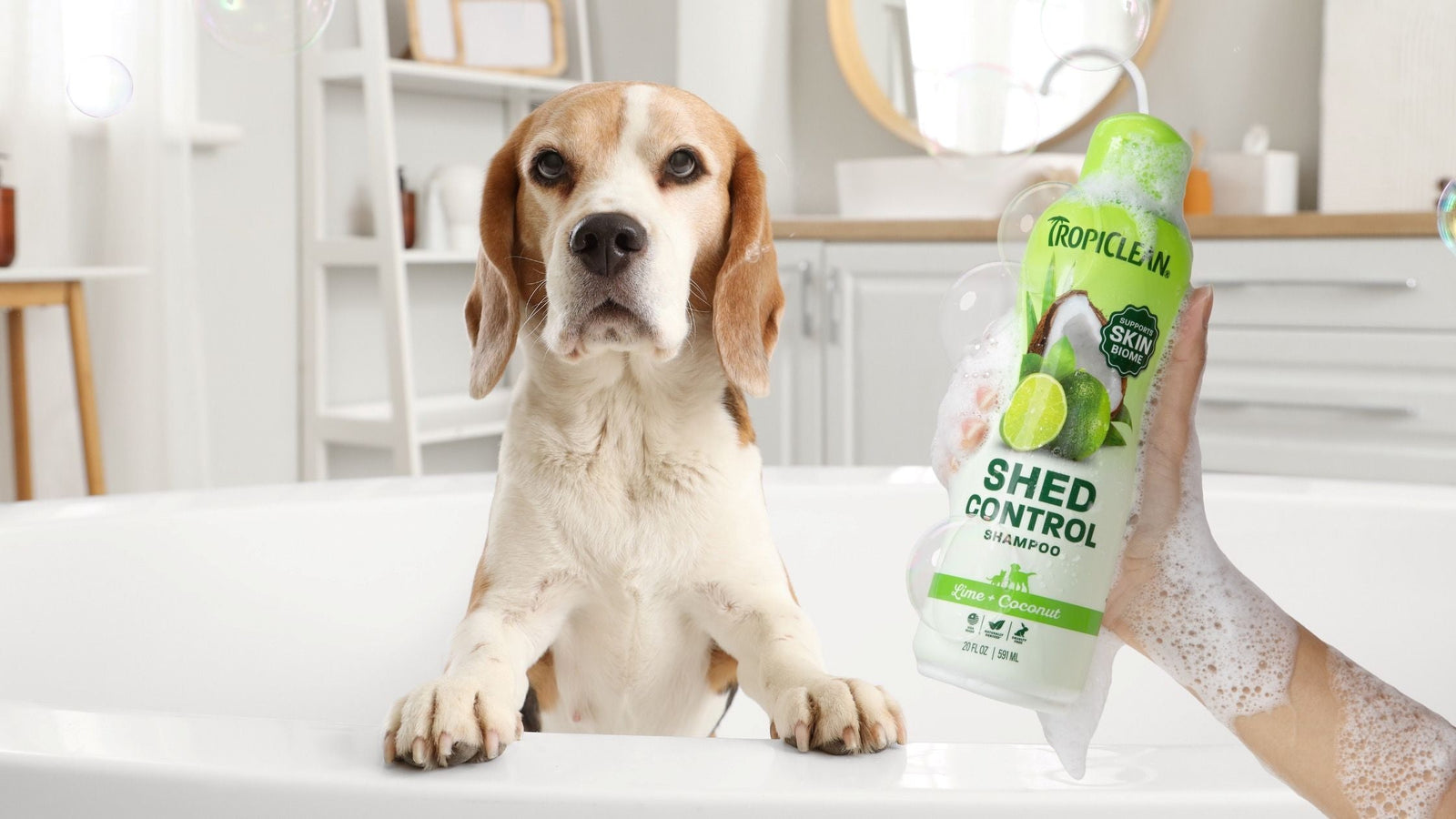 Dog being bathed with Lime & Coconut Shed Control shampo in white tub.