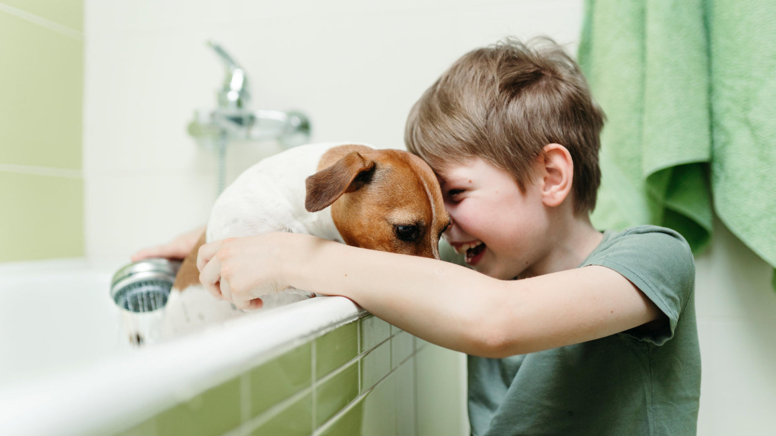 The Definitive Guide to Groomer‑Approved Dog Shampoo and Conditioner