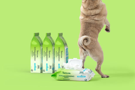 TropiClean Pet Grooming Wipes next to a Pug standing on it's hind legs