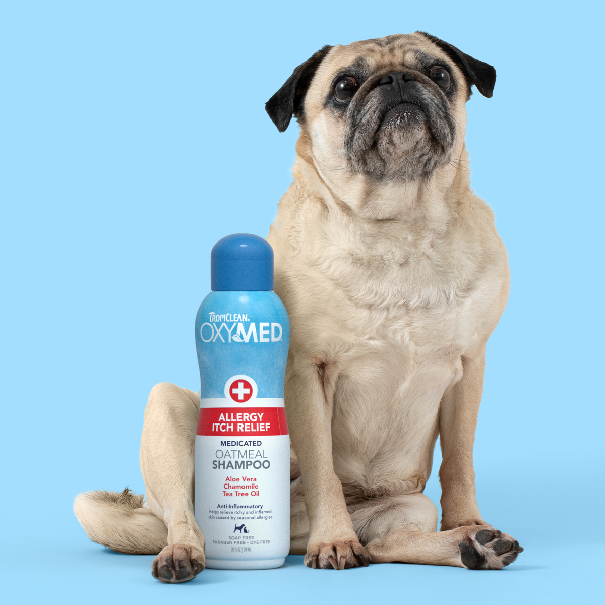 Why Your Dog Won't Stop Scratching & How the Right Dog Shampoo Can Hel ...