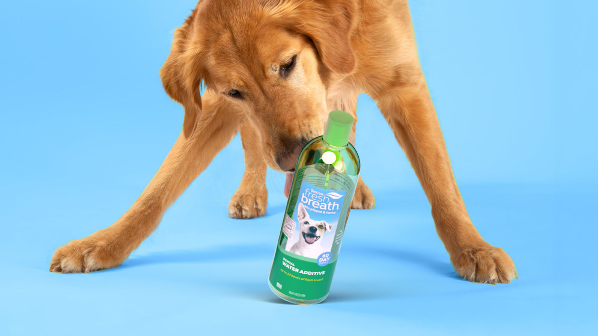 TropiClean Prime Day Deals: Stock Up on Dental Care, Hot Spot Relief & More