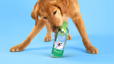 TropiClean Prime Day Deals: Stock Up on Dental Care, Hot Spot Relief & More