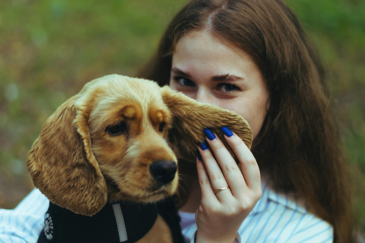 Why Is My Pet Always Scratching Their Ears? Common Causes & Help ...