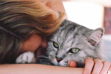 Blog: Why Pets Make the Best Valentines, by TropiClean. Woman hugging a cat.