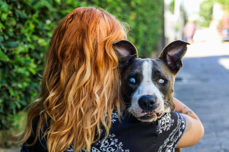 Blog: Grooming Tips for Blind Dogs: Creating a Calm and Trusting Experience, back of woman hugging a blind dog
