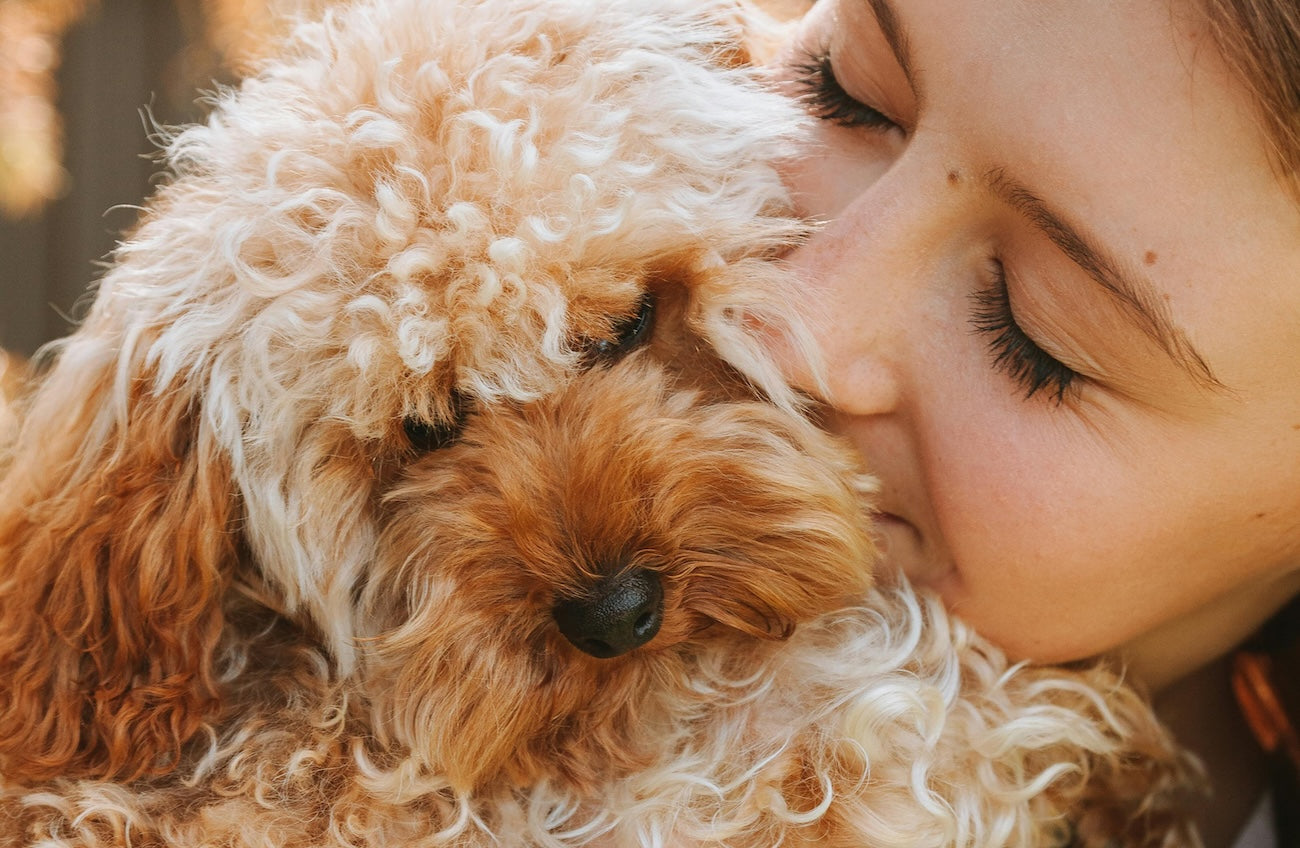 Blog: The Best Dog Shampoo Scents for Fresh-Smelling Pets, by TropiClean. Woman smelling poodle.