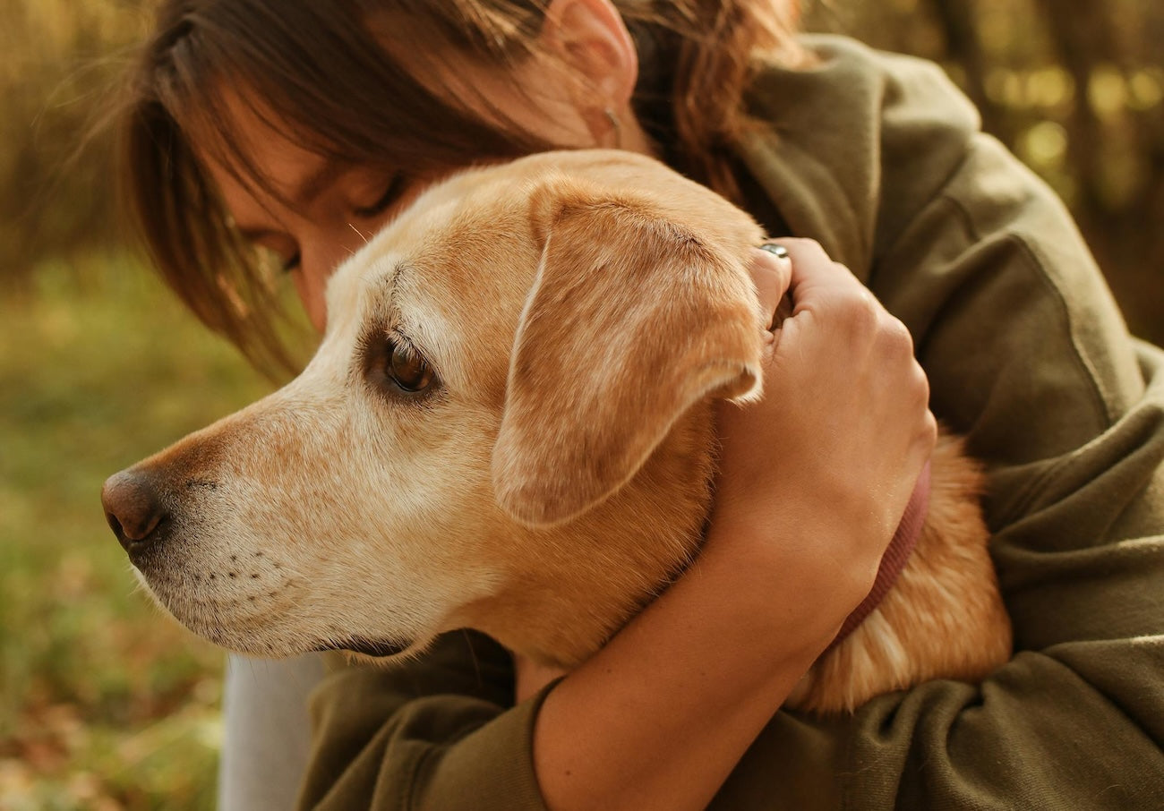 Blog: Spot the Bite: How to Identify and Treat Bug Bites on Dogs, by TropiClean. Golden Retriever being hugged by woman.