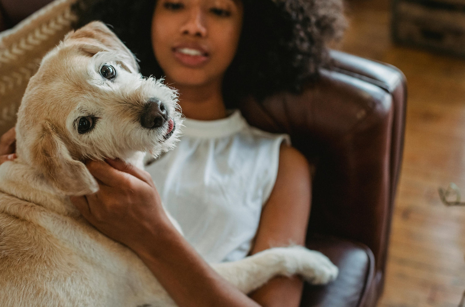 Blog: Shiny Coats, Happy Pets: How Our 2-in-1 Formula Nourishes Skin and Fur, image of dog and woman