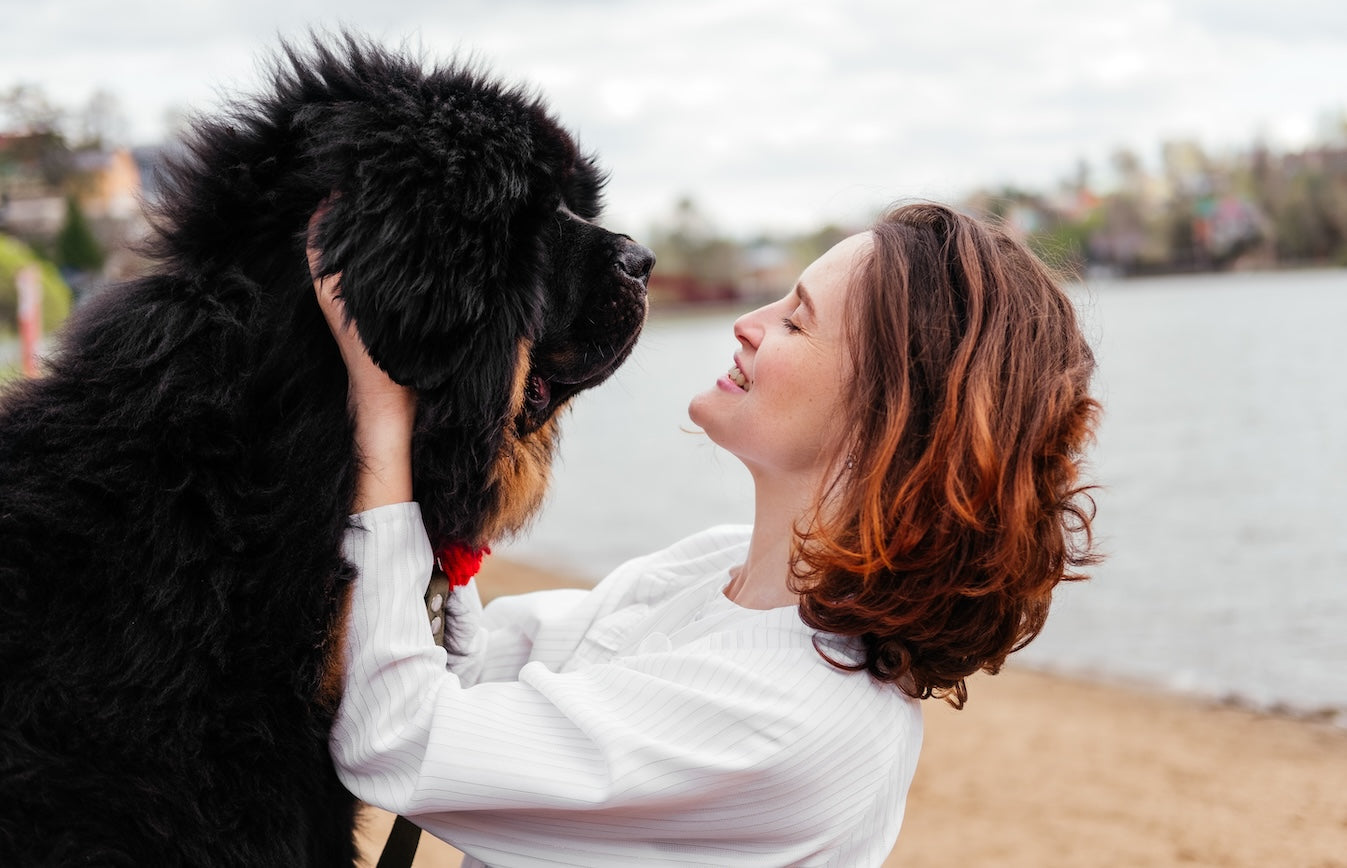 Blog: The Reviews Are In: Why Pet Parents Love Our Fresh Breath Water Additives. Woman with big dog.
