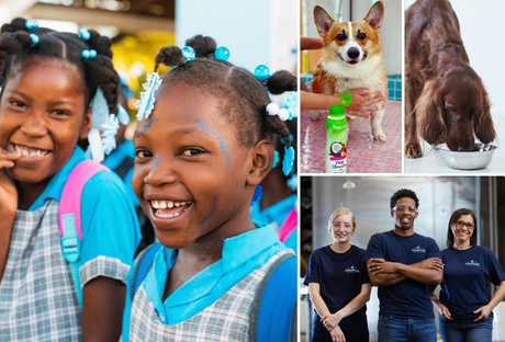 Blog: More Than Grooming: Our Mission, Our Products, Your Peace of Mind. TropiClean company mission and team.