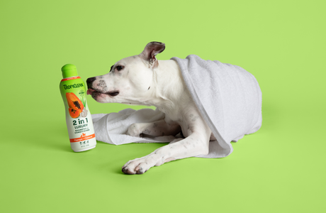 7 Essential Factors to Choose the Perfect Dog Shampoo