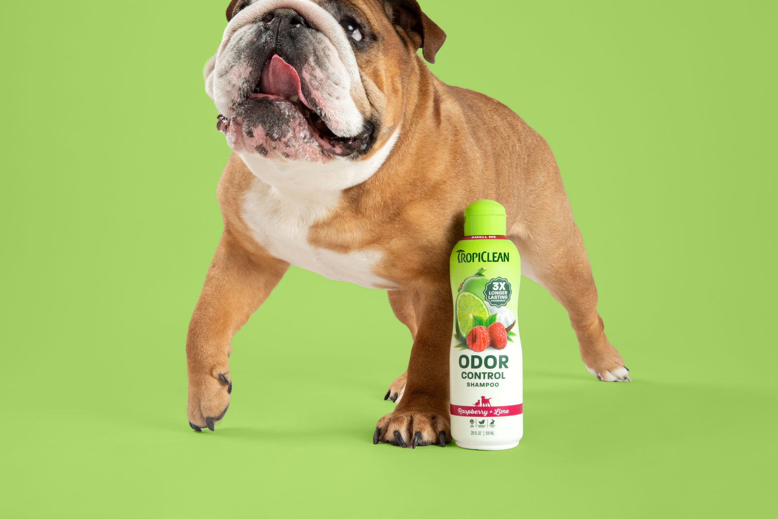 TropiClean Odor Control Shampoo with Dog