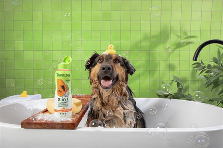 Image of dog getting bathed at home.