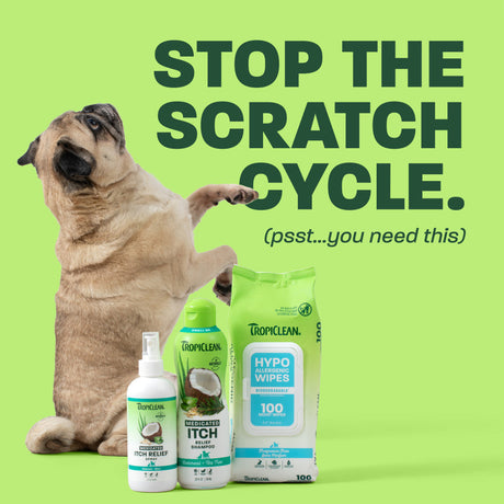 Summer Itch: Why Dogs Scratch More in Hot Weather (and the Best Anti-Itch Shampoo for Relief)