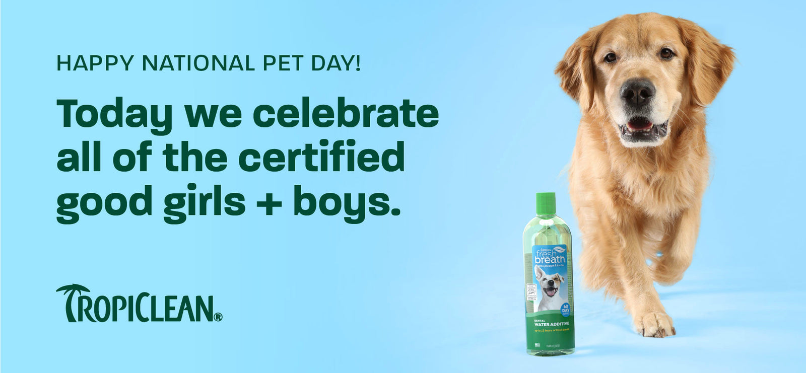 National Pet Day: 5 Easy Ways to Celebrate Your Dog While Supporting Their Health and Happiness