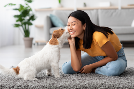 A smiling pet parent sitting on the floor as a small dog gives her a kiss in a bright, cozy home setting.
