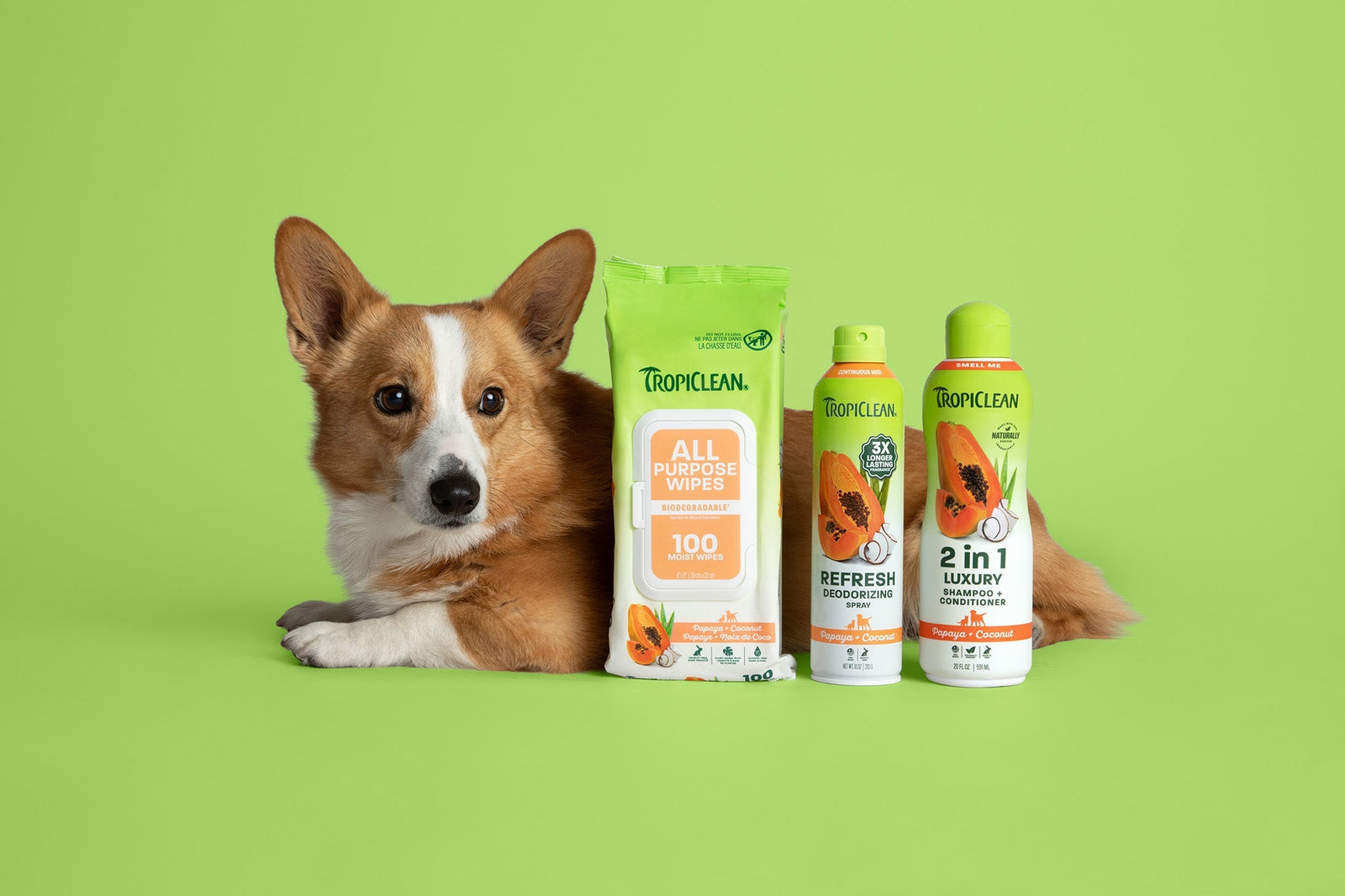 The Papaya Ingredient Making Bath Time Better for Sensitive-Skinned Dogs