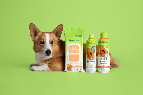 The Papaya Ingredient Making Bath Time Better for Sensitive-Skinned Dogs