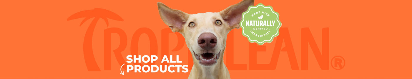 TropiClean Coat Whitening Shampoos&nbsp;for dogs and cats. Dog in orange background.