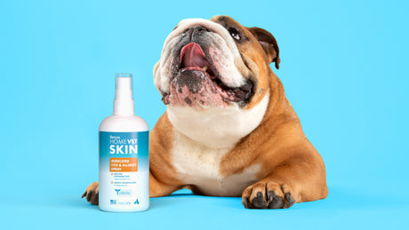 HomeVet
