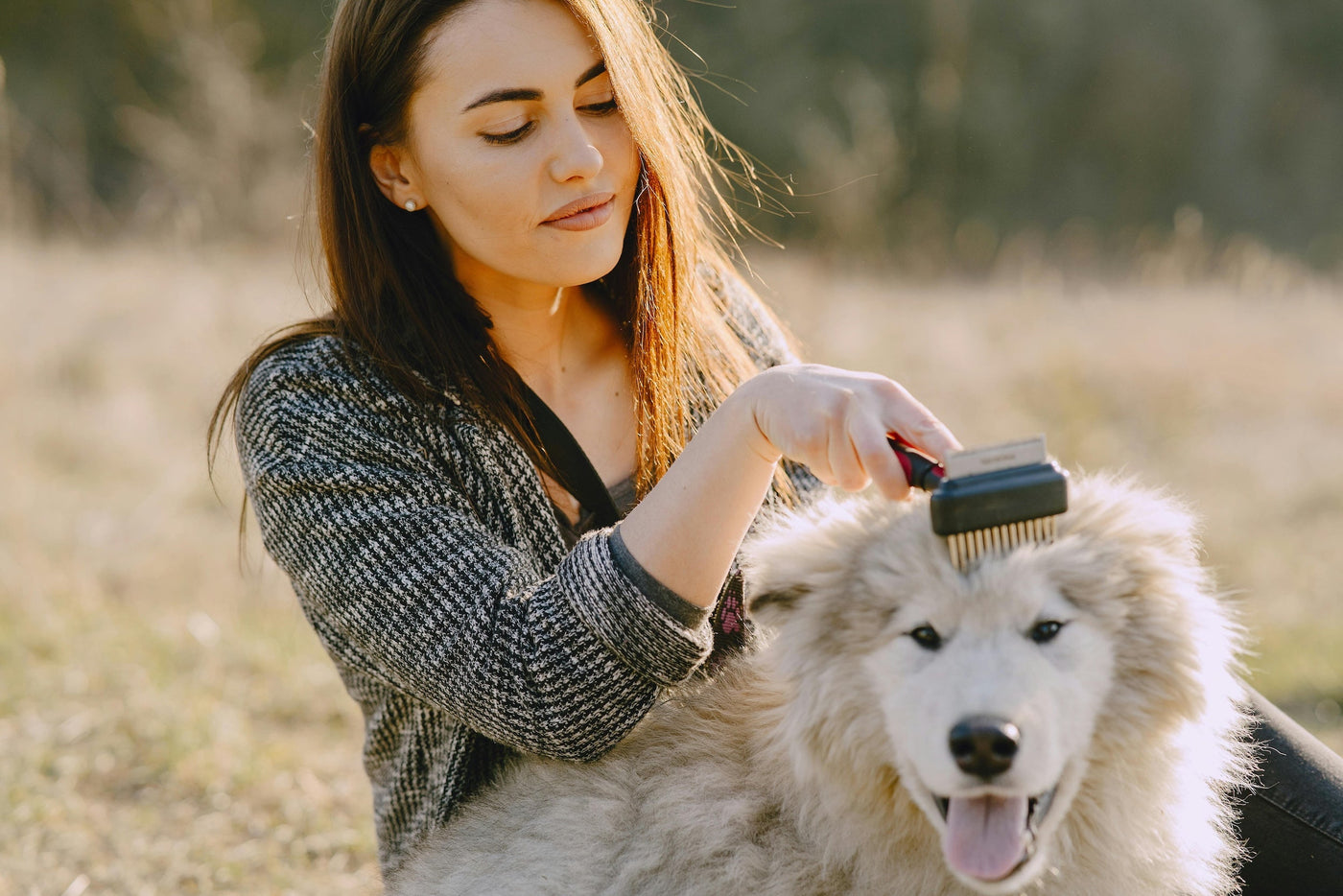 TropiClean Dog Grooming Products, image of woman grooming a dog