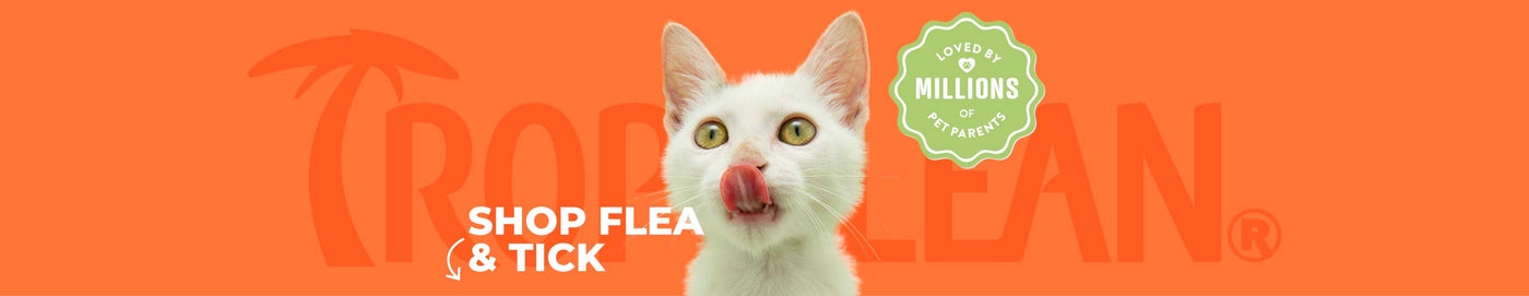 FLEA & TICK Solutions for Dogs and Cats by TropiClean, image of a cat with orange background