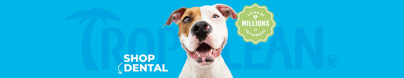DENTAL Care Solutions for Dogs and Cats by TropiClean, image of dog over blue background