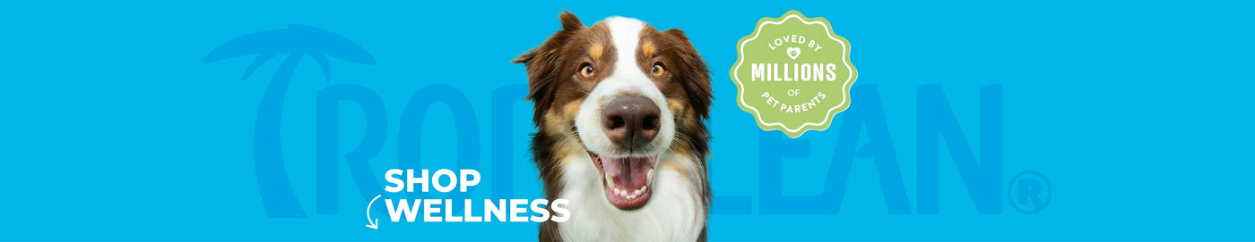 WELLNESS Total Pet Care Collection by TropiClean, image of dog with blue background