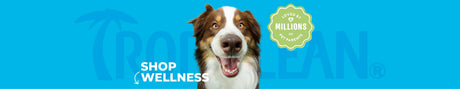 WELLNESS Total Pet Care Collection by TropiClean, image of dog with blue background