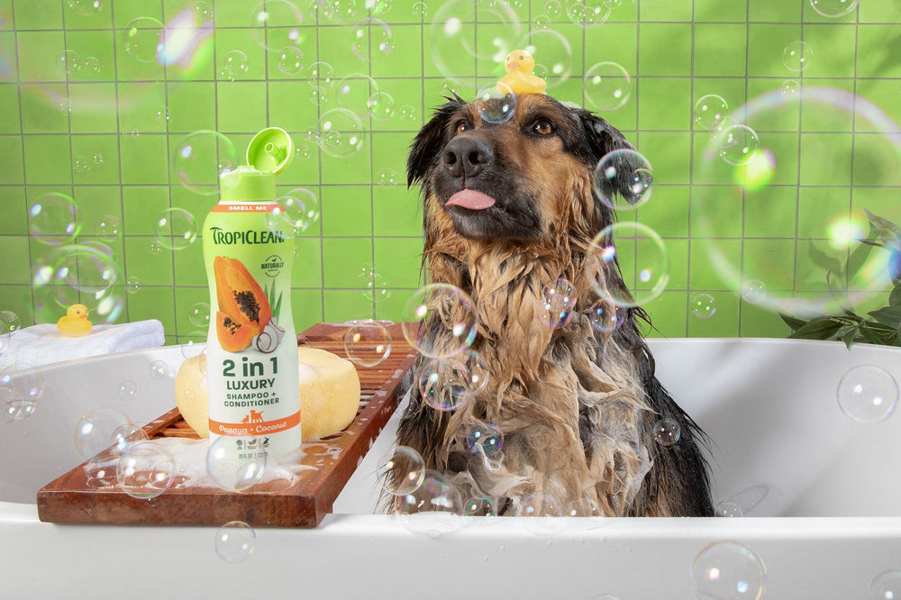Dog in a bathtub with bubbles, a bottle of TropiClean Papaya Shampoo, and a green tiled wall