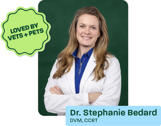 Loved by vets and pets. Doctor Stephanie Bedard. DVM, CCRT