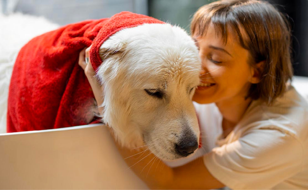 TropiClean Grooming Solutions for Dogs and Cats. Dog wrapped in towel in bathtub with a woman smelling it.