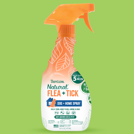 TropiClean Natural Flea & Tick Dog and Home Spray, image of spray bottle on a green background