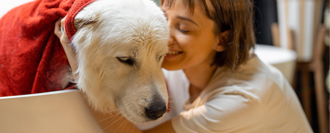 TropiClean Grooming Solutions for Dogs and Cats. Dog wrapped in towel in bathtub with a woman smelling it.