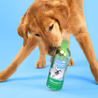 Alt text not provided for this image