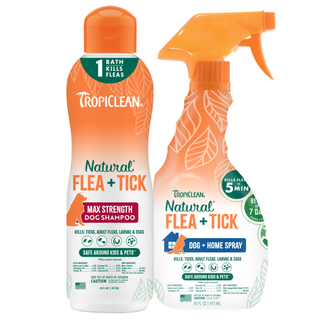 Natural Flea & Tick Max Shampoo & Spray