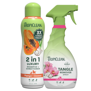 2-1 Shampoo & Detangler